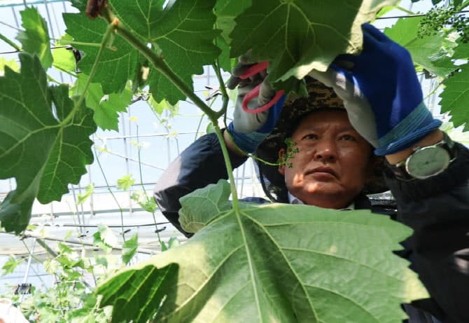 대구시장 선거, 국민의힘 내분 vs 민주당 총력