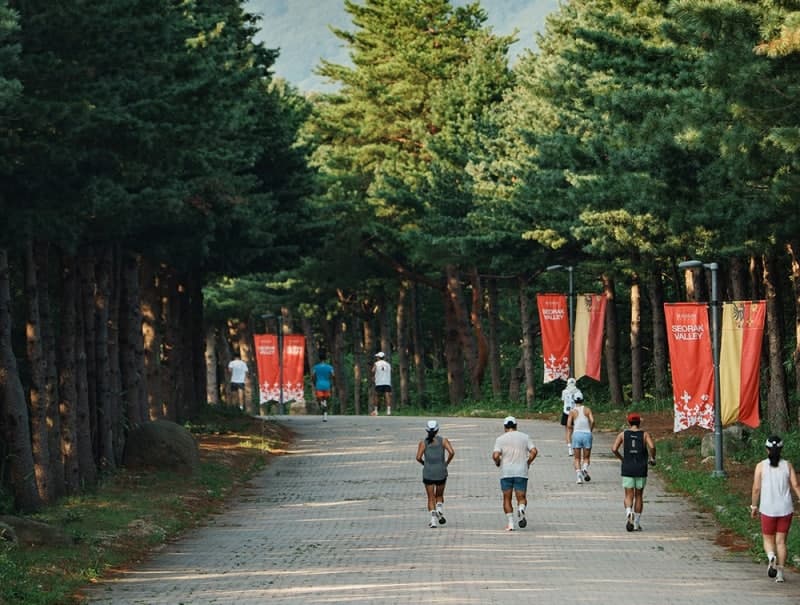 “숲 속에서 달린다”…켄싱턴 설악밸리, '런 투게더' 패키지 출시