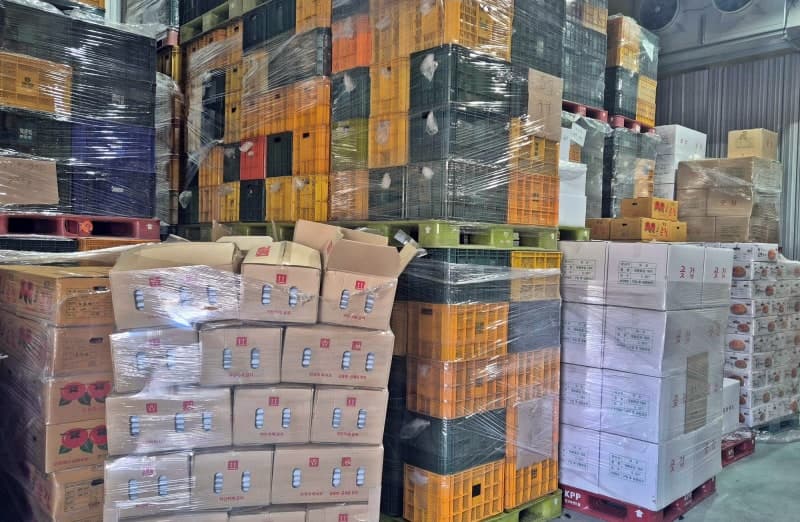 산림청, 중동상황 장기화 대비 '임산물 국고보조사업' 확대… "임업인 경영부담 완화"