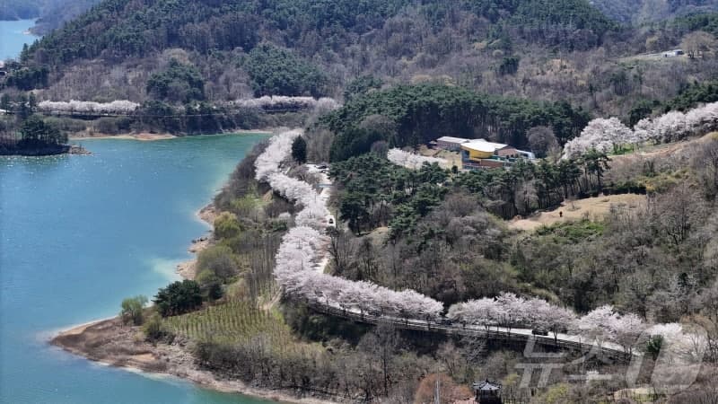 내일 새벽부터 전국에 '많은 비'…제주 최대 250㎜·남해안 120㎜
