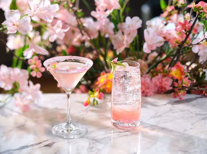 "구름 위 피크닉" 시그니엘 서울, '테이스트 오브 체리 블라썸' 패키지