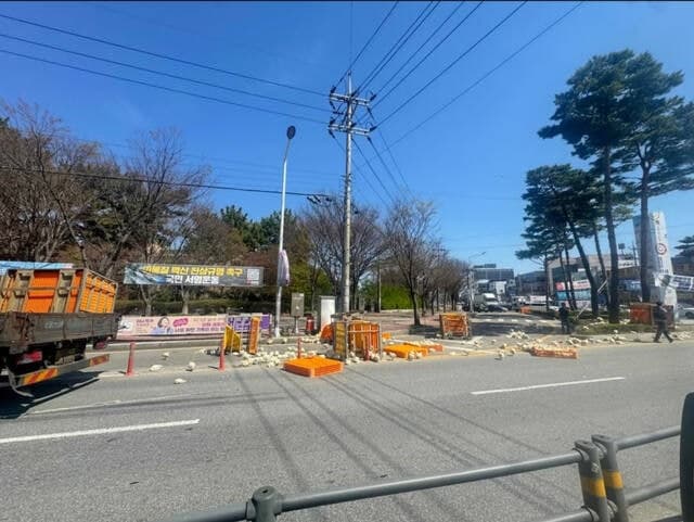 "도로에 웬 닭이?" 익산 사거리서 닭 100마리 우르르…1시간 통제하고 '진땀 포획 작전'