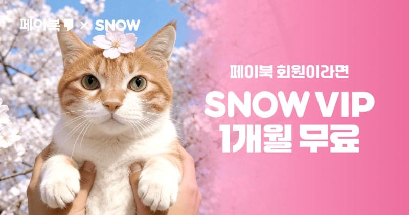 BC카드, AI 카메라 앱 '스노우' 1개월 무료 이용 이벤트