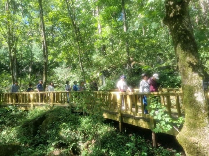 국립횡성숲체원, 장기돌봄활동가 심신안정 '산림치유캠프' 운영