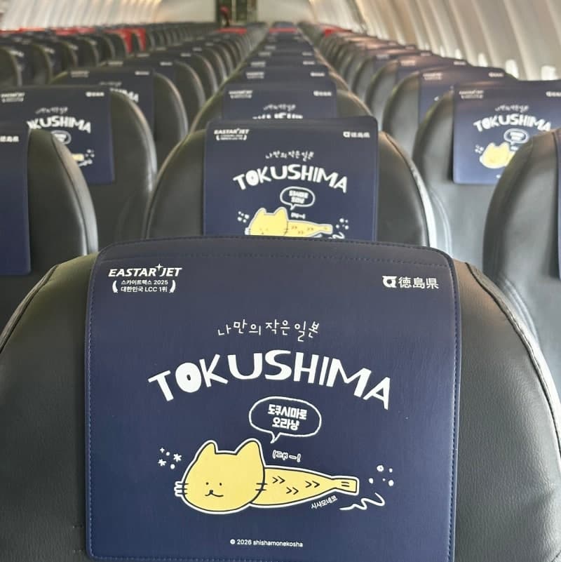 이스타항공, 일본 인기 캐릭터 '시샤모네코'와 협업해 일본 고객 공략