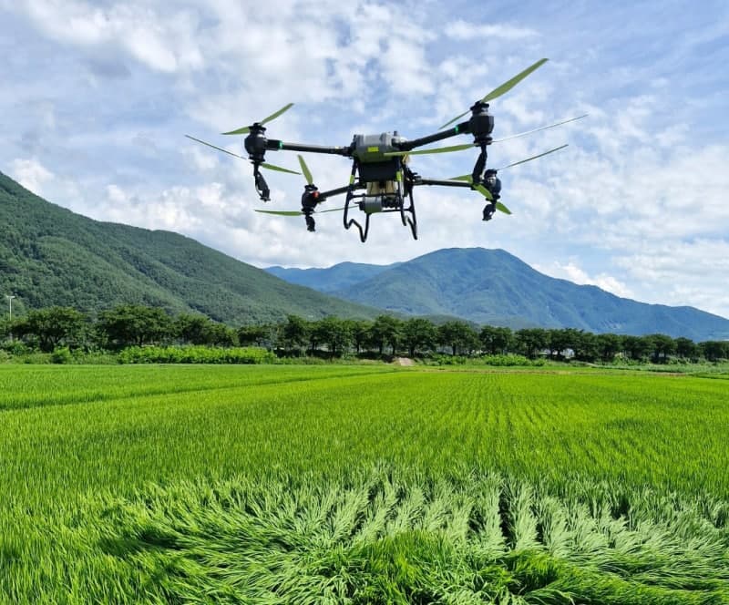 정선군, 드론으로 161농가 379ha 논밭 방제 시범사업 추진