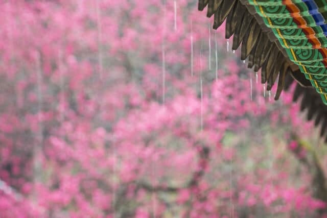 내일(9일) 전국에 봄비, 강한 바람…제주·남해안 중심 강한 비 예보