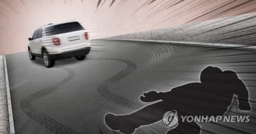 “CCTV에 다 찍혔다”…렌터카로 여성 친 무면허 뺑소니 20대 영장