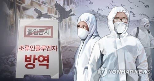 논산 오리농장서 'AI 항원' 검출…2만6천마리 살처분 예정