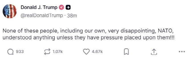 트럼프 "나토 포함 누구도 압박 없으면 아무것도 이해를 못해"