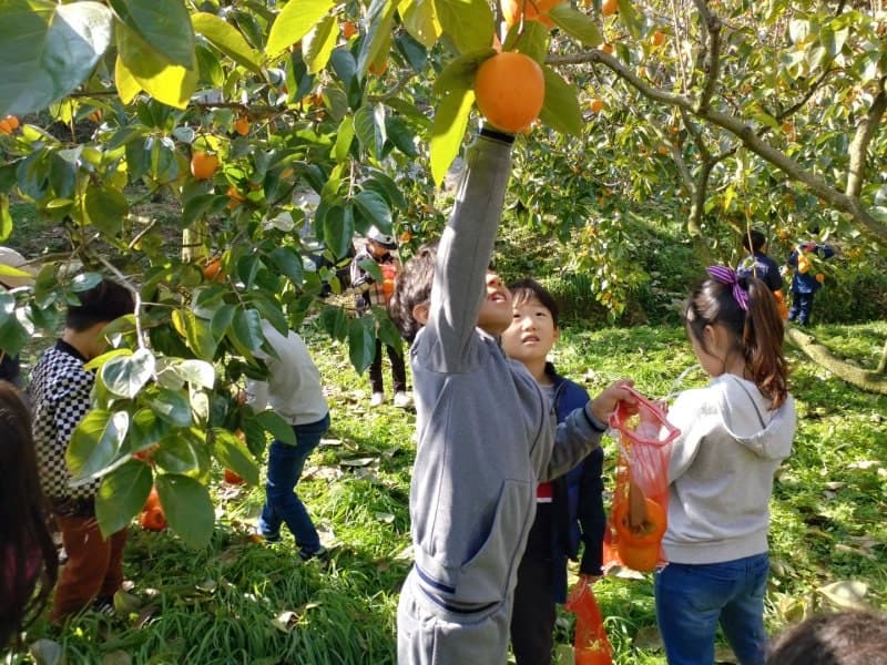 농식품부, 지방정부와 '농촌체험휴양마을' 활성화 위해 머리 맞댄다