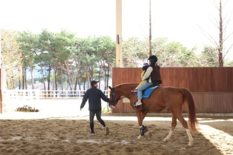 렛츠런파크 부산경남-부산시, 다자녀가정 초청 "말 교감 체험행사" 호응