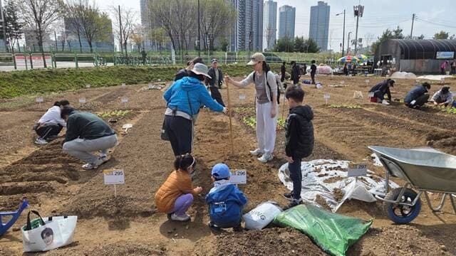 성동구, '무지개텃밭 및 다산농원' 개장…403구획 규모 도심 속 텃밭 가꾸기 본격 시작