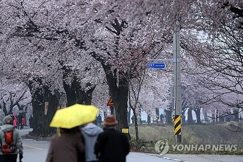 제주·남해안 최대 250mm 이상 '폭우'…전국 강풍 동반 많은 비