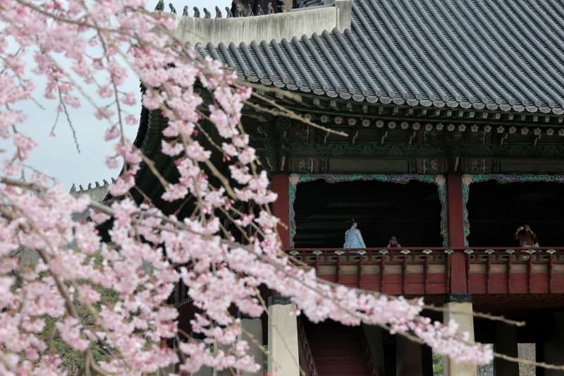 경복궁 화재, 실화 가능성…용의자 출국 수사 난항