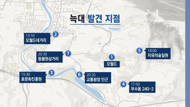 오월드 탈출 늑대, 이틀째 포획 난항