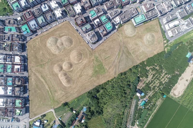 “사촌과 결혼, 가족이 함께 순장”…DNA로 밝혀낸 신라의 민낯