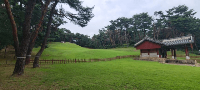 단종-정순왕후 500년 애달픈 그리움, 마침내 들꽃으로 피어나다