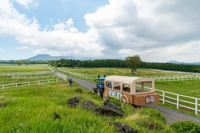 "마차 타고 제주 초원 즐겨요"…한국마사회 제주목장, '트랙터 마차 투어' 10일 재개