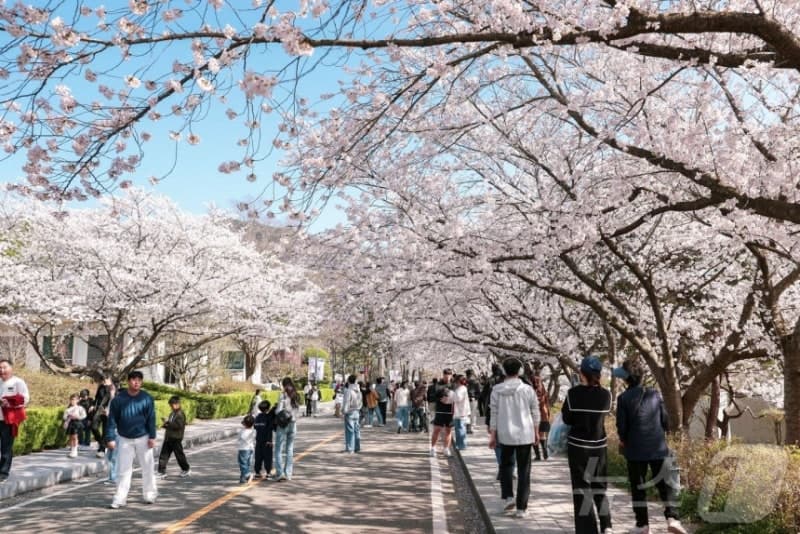 영암왕인문화축제 10~12일 '왕인 문화 주간' 돌입…왕인박사 퍼레이드 재현