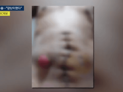 “동료와 장난치다 다쳐” 이주노동자 에어건 상해, 업체 대표 부부 거짓 진술 정황