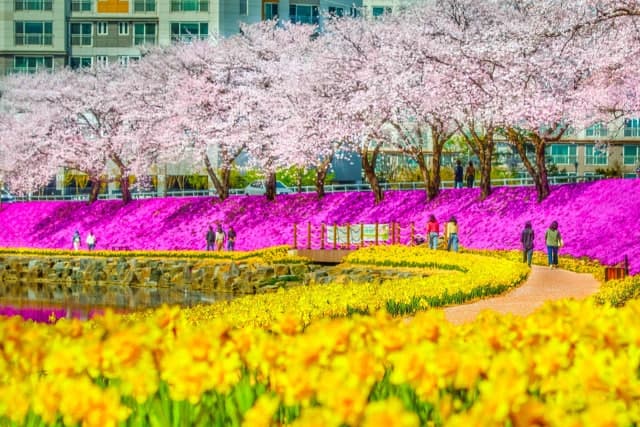 순창군, 공약이행평가 3년 연속 'SA' 등급…전국 평균 상회