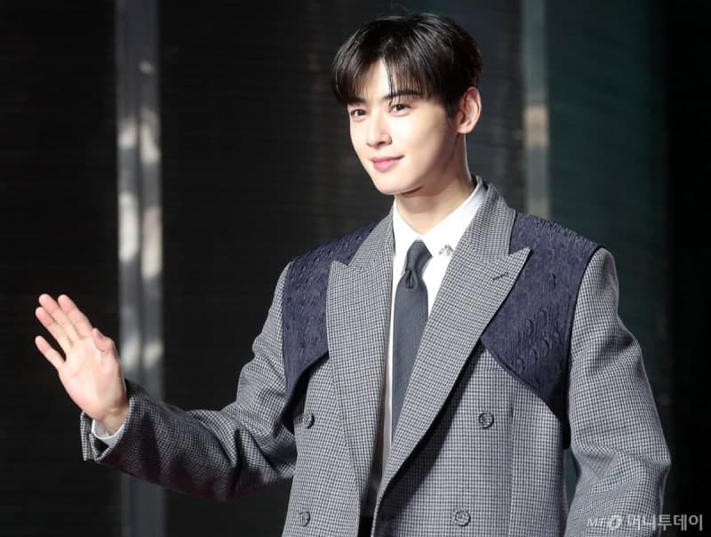 "130억 납부, 꼼수 아냐" 차은우 세금 논란, '정석 대응' 해석