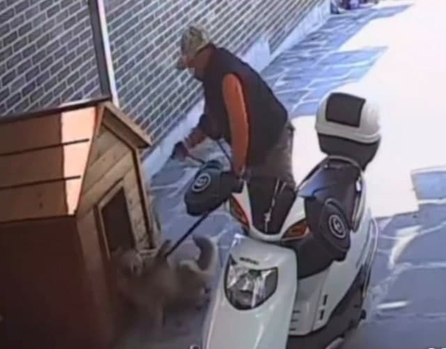 "집 주소 착각" 가정집 침입해 반려견 끌고 간 60대 개장수 경찰에 붙잡혀