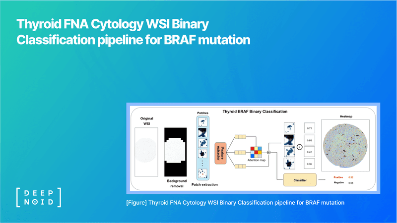 딥노이드, 갑상선 세포검사 AI 연구 성과 공개 "병리 분야 솔루션 확장 기대감"