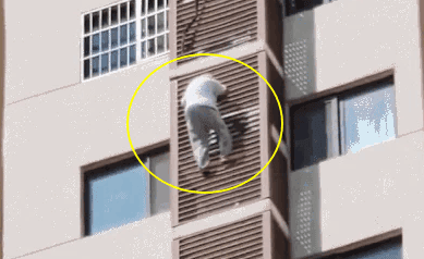 "방에 갇혀 탈출 시도"…89세 할머니, 27층 외벽 타고 내려오다 구조