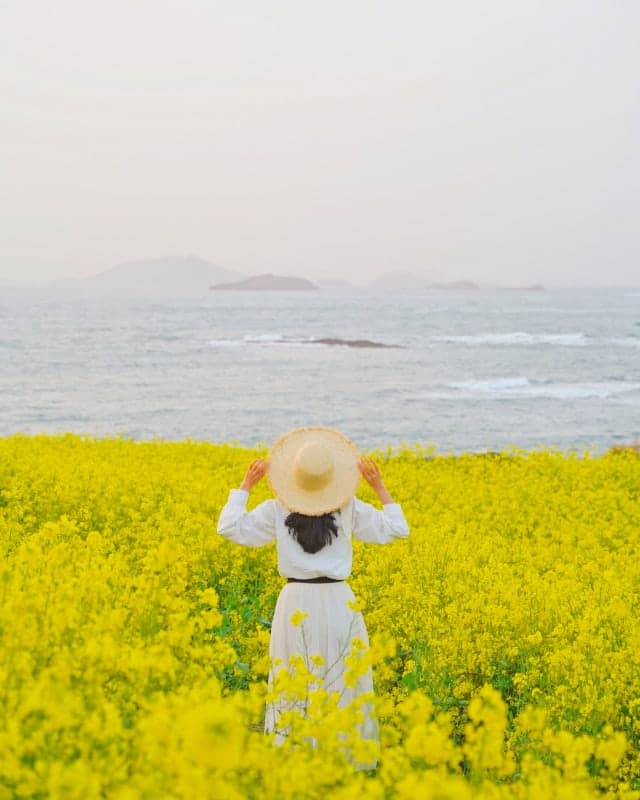 "힐링하러 오세요" 부안 수성당, '봄의 전령' 유채꽃 만개…상춘객 북적