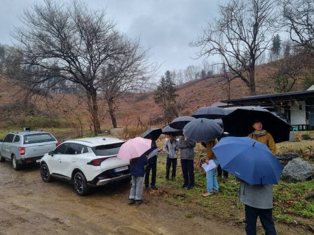 경기도, 가평·포천 '소나무재선충' 집중 방제…확산 막는다