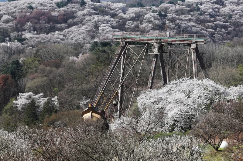 “아침 쌀쌀·낮 포근” 주말 일교차 최대 20도…서쪽 황사 주의