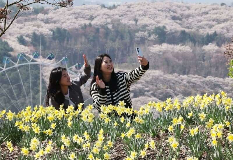 “낮에는 완연한 봄, 밤엔 쌀쌀”… 일교차 큰 주말, 낮 최고 23도