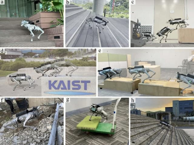 KAIST, "사람처럼 보고 판단" 장애물 인지 사족보행 로봇 제어기술 개발