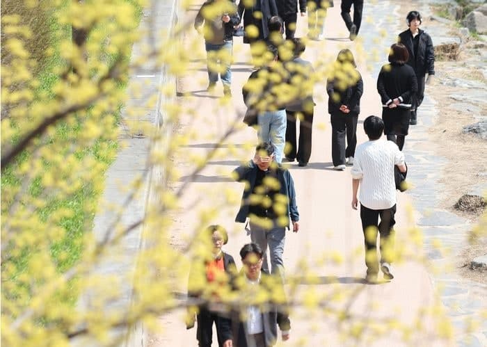 서울 낮 최고 26도 '초여름' 날씨…큰 일교차 15도 안팎 주의