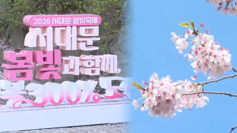 꽃바람 부는 연희숲속쉼터…도심 속 폭포에 봄꽃 나들이 한창