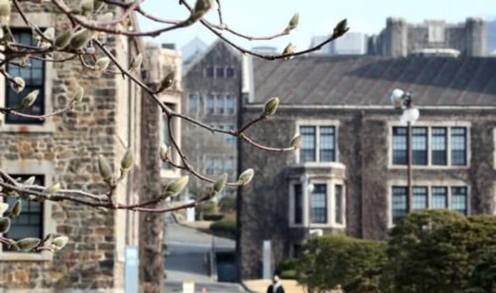 연세대 공연 매표 인파 몰려 22명 경상…외국인 1명 병원 이송