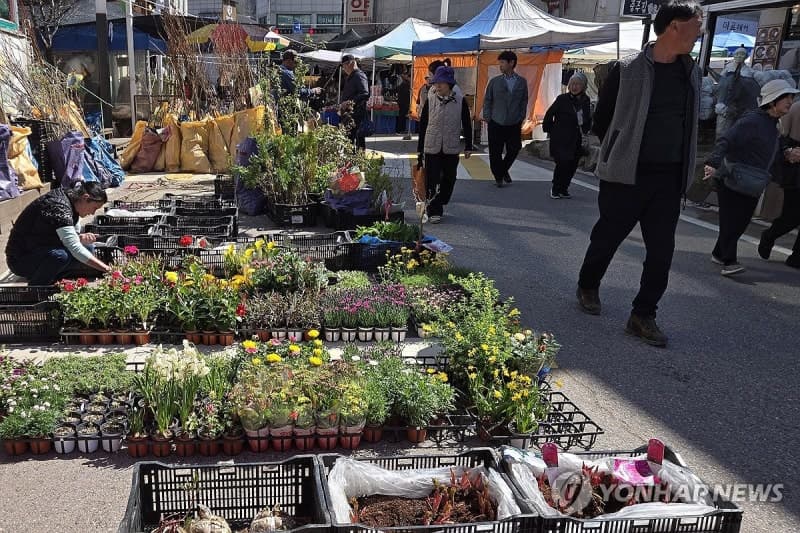 “꽃 사러 왔어요” 봉평오일장, 봄날의 정겨운 흥정