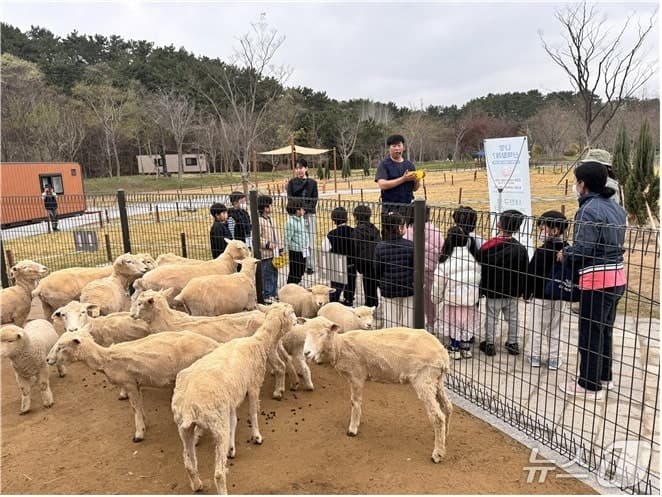 "답답한 일상 벗어나 숲으로"…부산시, 50여 곳서 무료 산림교육 프로그램 운영