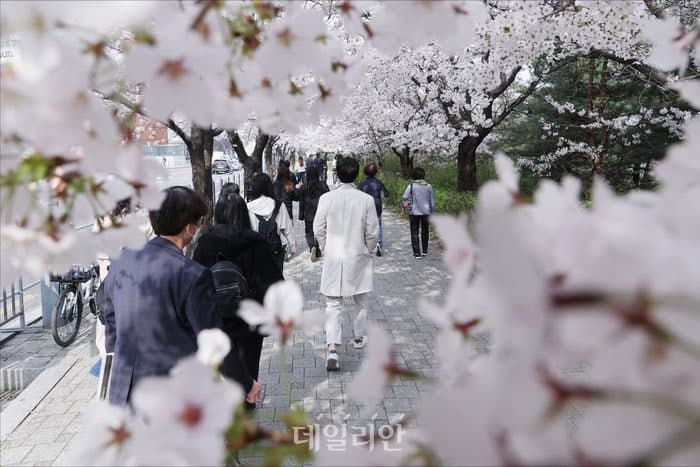 낮 최고 25도 '포근'…밤엔 제주서 비 소식, 일교차는 ‘조심’