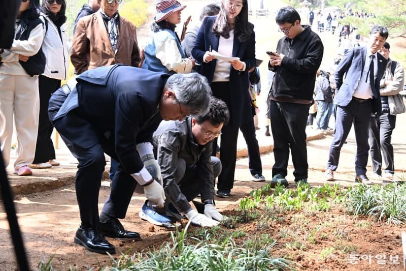 단종과 정순왕후, 500년 만에 보랏빛 꽃으로 재회하다…영월 장릉에서 고유제