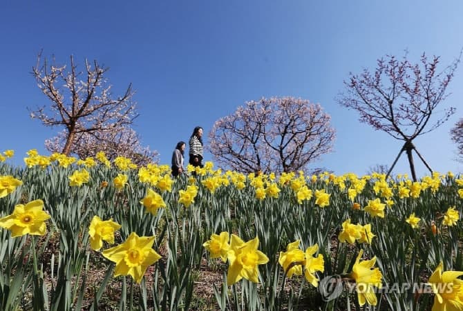 '낮 최고 26도' 완연한 봄 날씨…큰 일교차 주의