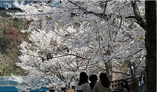 내일 아침 5도 껑충, 전국 낮 최고 27도…'따뜻한 봄' 일교차 주의
