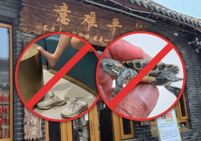 "거북이 훔치고 스타킹 버리고"…'금지 사항' 내건 中 카페, "발 냄새 심하면 신발 벗지 마세요"