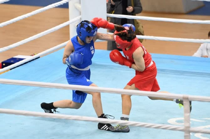 국가대표 정하늘 출격…영주서 국내 최대 복싱대회 14일 개막, 700여명 '주먹 대결'
