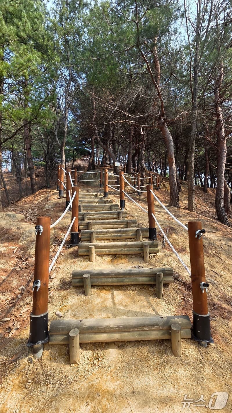 강릉시, "주민이 직접 해결" 주민참여예산 우수사업 3건 선정…월대산 둘레길 '최우수'