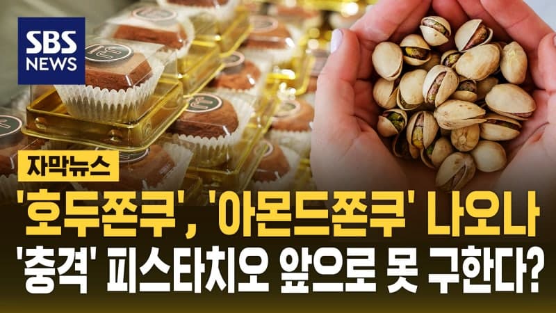 '두쫀쿠' 먹기 힘들어진다…중동 전쟁에 피스타치오 가격 치솟아