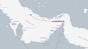 韓 실소유 선박, 이란 승인 루트로 '호르무즈' 통과…국내 선사 첫 진입