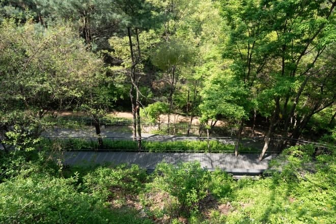 서울 중구, 공약이행평가 '3년 연속 최우수' SA 등급 획득